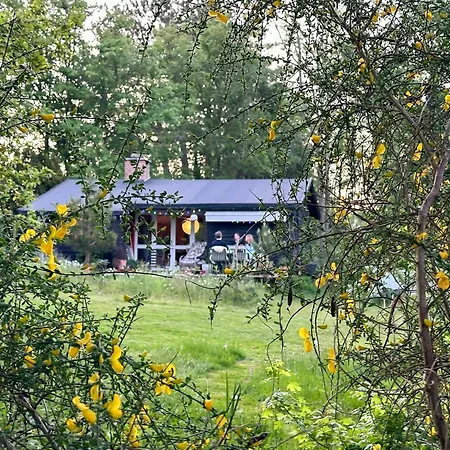 Douglas-clad Summer House Near Gribskov *